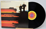 Steely Dan's 'Greatest Hits' vinyl record album with the LP partially pulled from the sleeve, showing the black record and a yellow-and-orange center label against a light gray background.