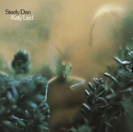Cover art for Steely Dan Katy Lied featuring a close up blurry shot of a green bug.