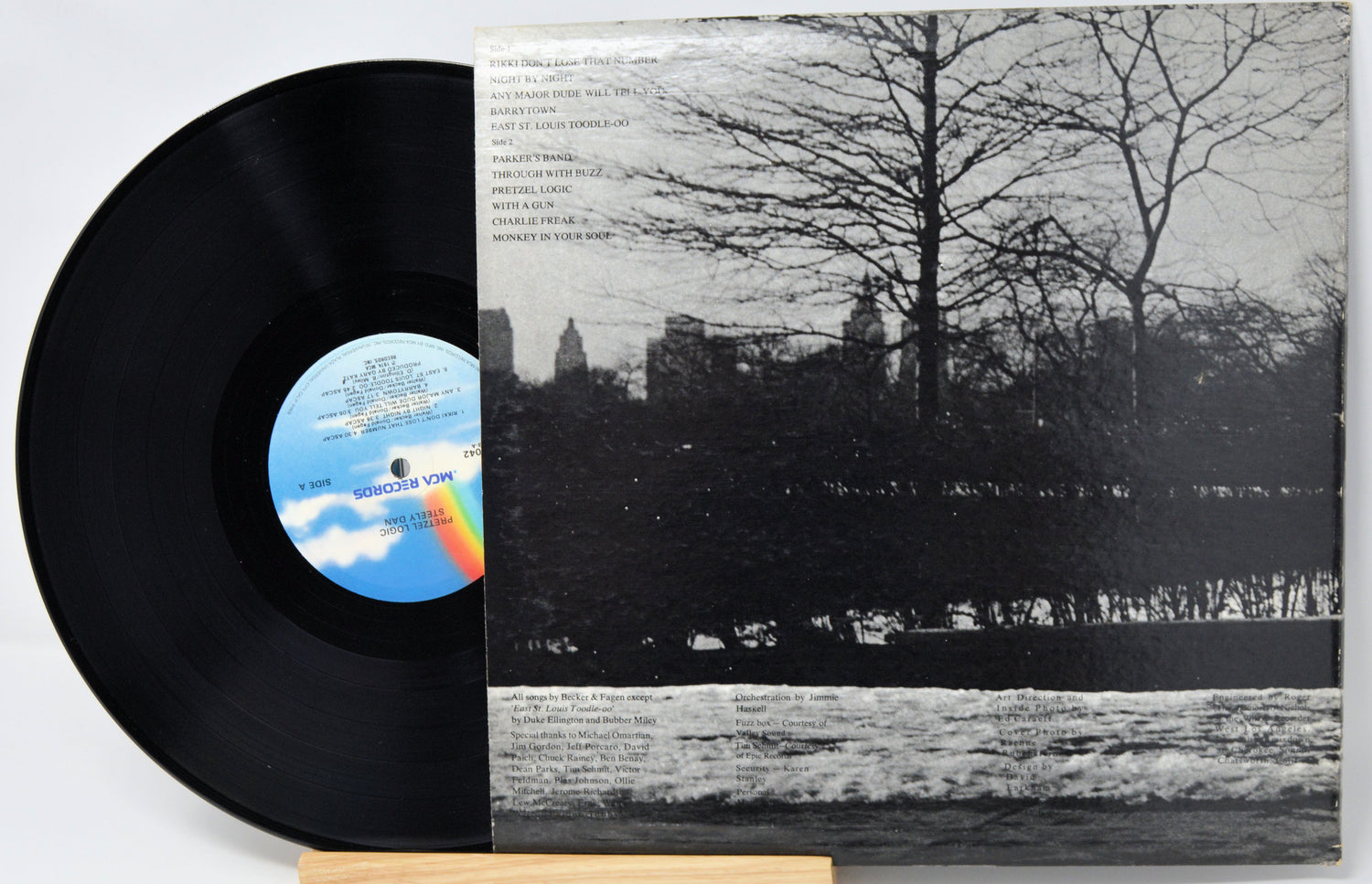 Vinyl record with a black and white cover featuring a tree and skyline.
