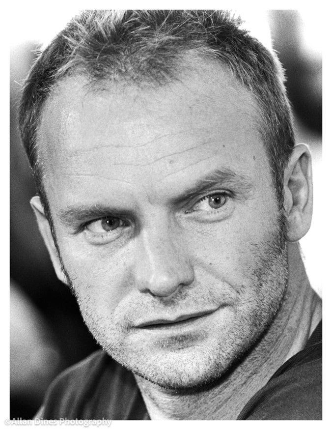 Sting - Photo 1