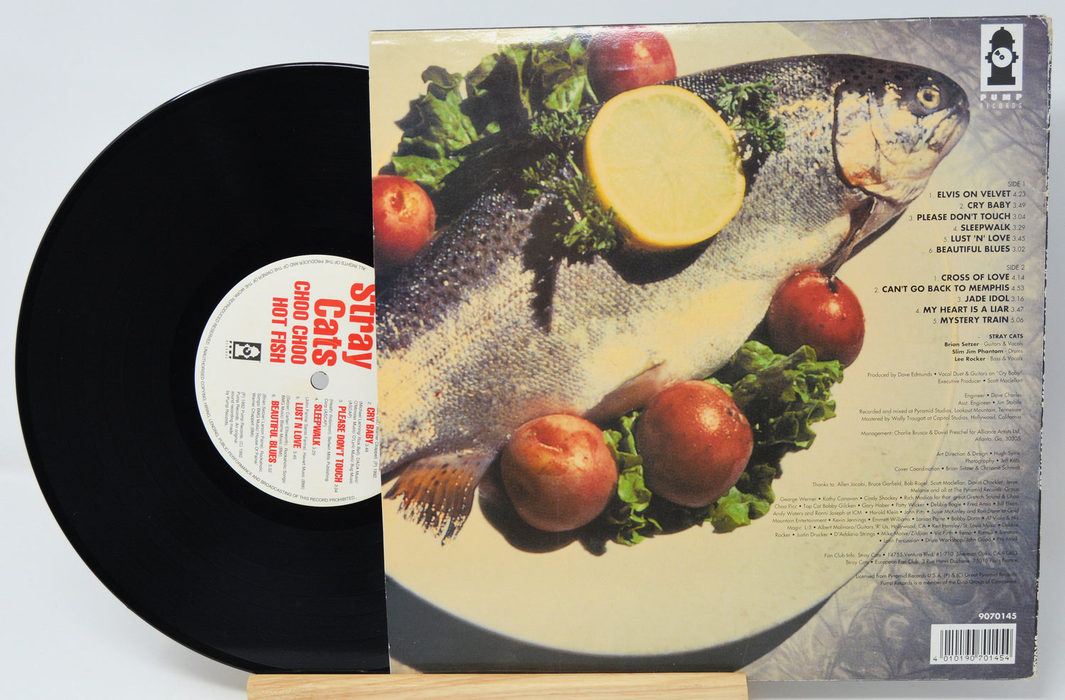 Vinyl record with a fish and fruit illustration on the cover