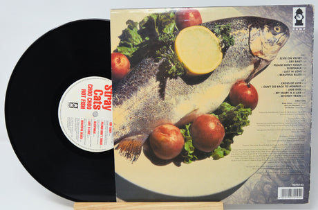 Vinyl record with a fish and fruit illustration on the cover