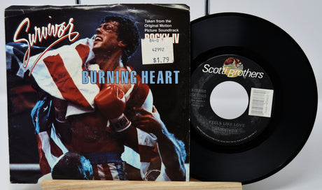 Cover art featuring a boxer with an American flag over shoulders and red boxing gloves
