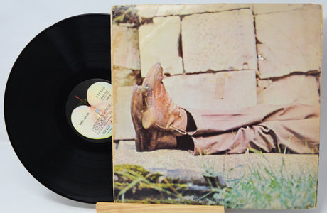 Vinyl record 'James Taylor - Self Titled' with a back cover showing a person in boots and a patterned dress on a stone wall.