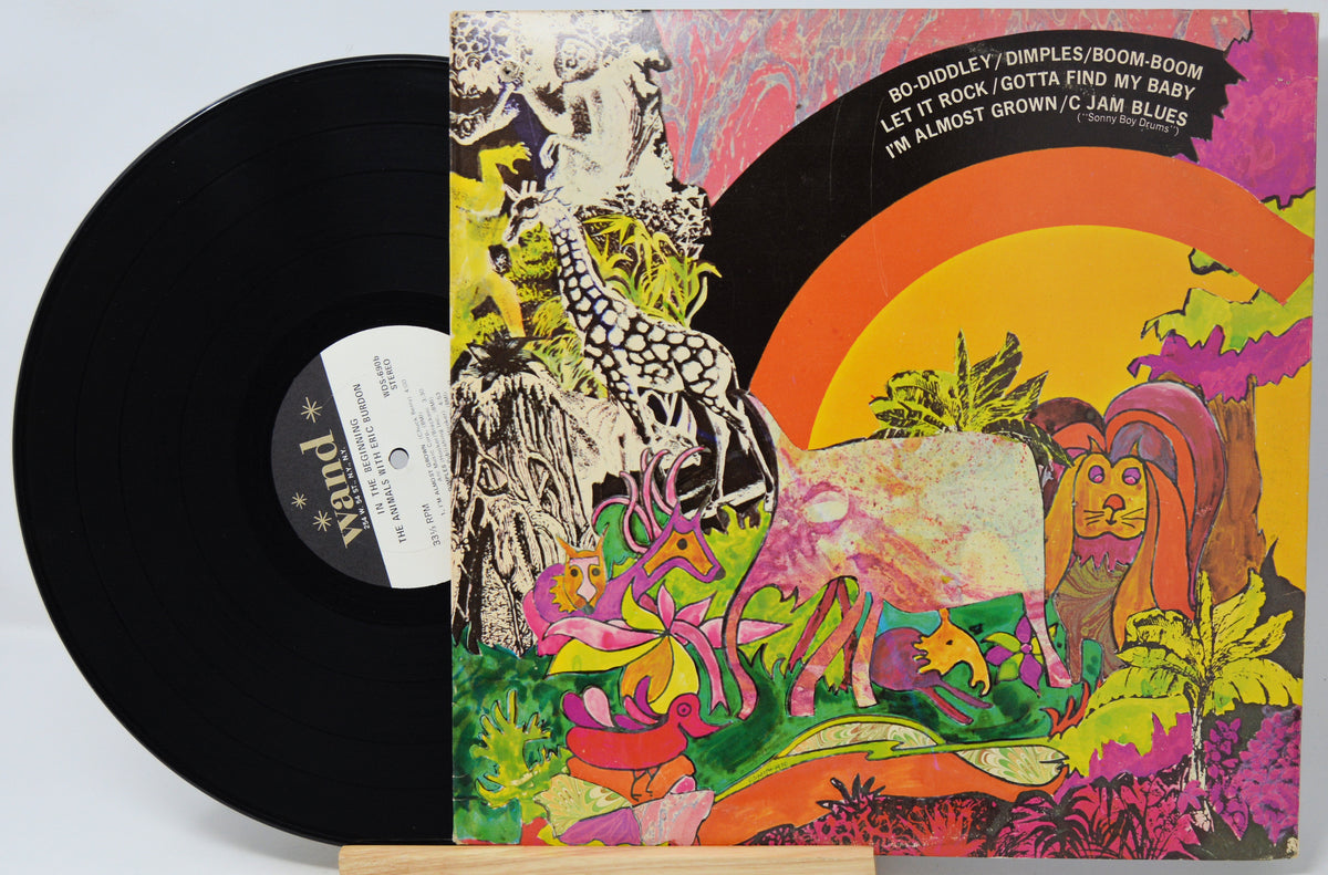 Animals, The - In The Beginning