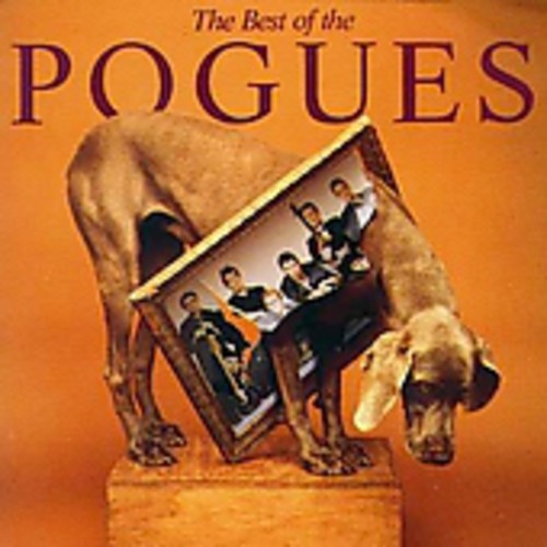 The Best of The Pogues album cover featuring a dog with a framed photo of the band
