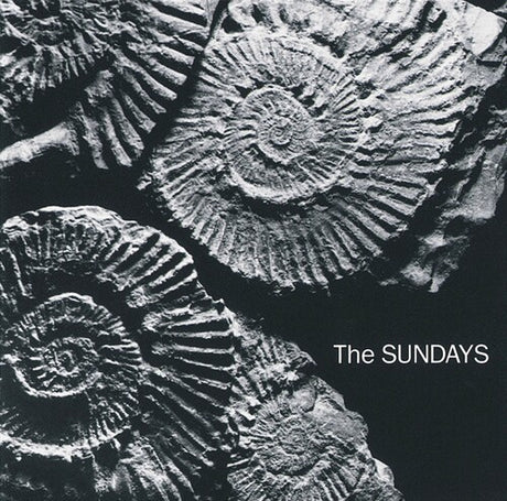 Album cover of 'Reading, Writing, And Arithmetic' by The Sundays featuring a black and white image of spiral patterns, possibly resembling fossils or shells.
