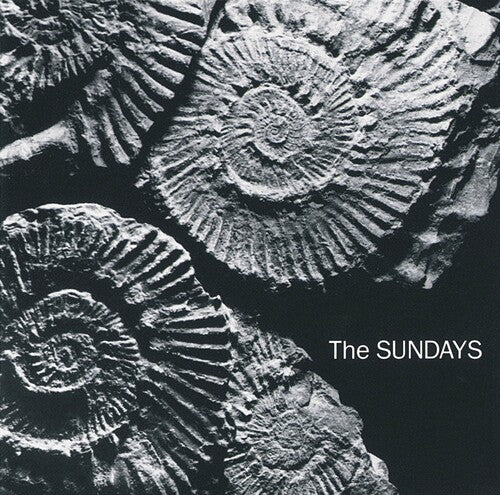 Album cover of 'Reading, Writing, And Arithmetic' by The Sundays featuring a black and white image of spiral patterns, possibly resembling fossils or shells.