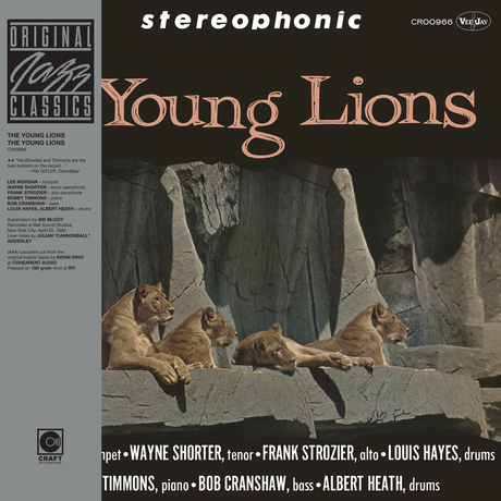 Album cover for 'Young Lions' featuring lions in a stone setting.