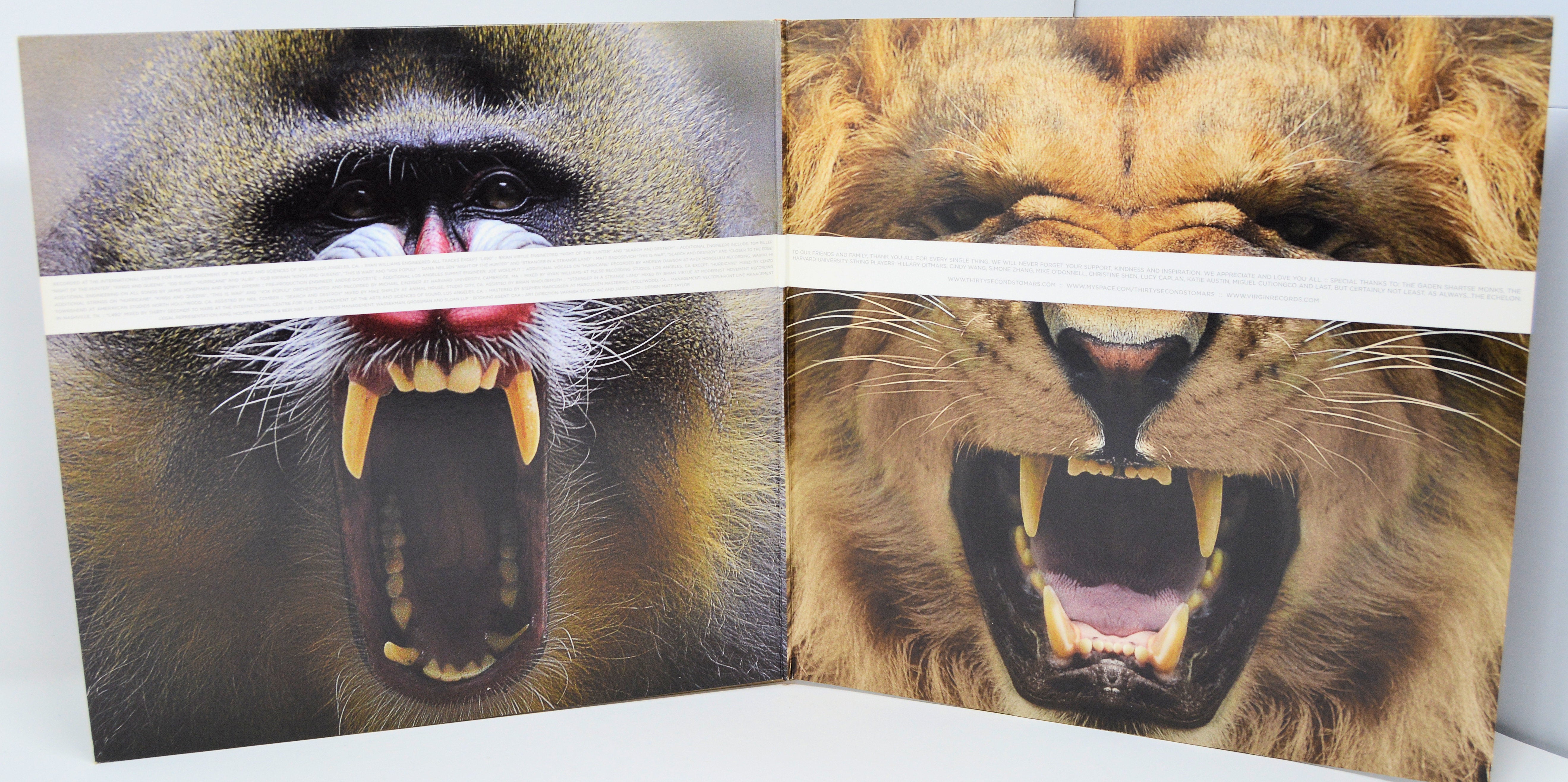 Thirty Seconds To Mars - This Is War, Vinyl Record Album 2LP