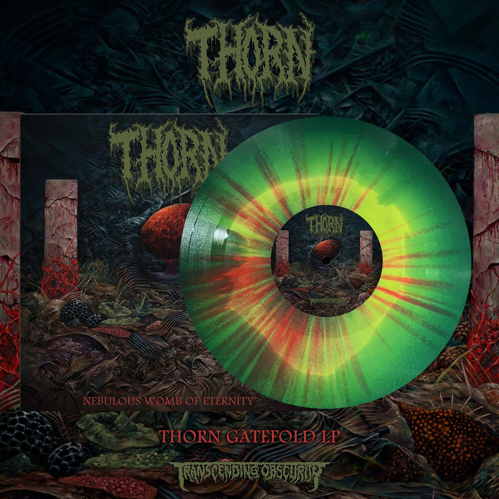 Vinyl record with a colorful design on a dark, textured background