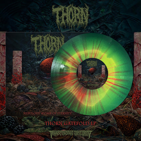 Vinyl record with a colorful design on a dark, textured background