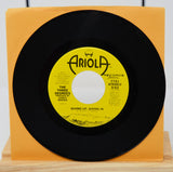 Three Degrees, The - Giving Up Giving In