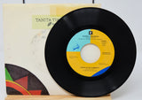 Tikaram, Tanita - Twist In My Sobriety