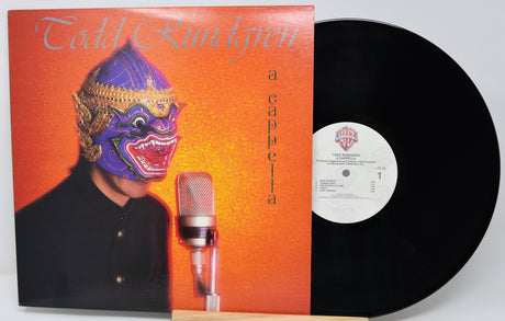 Vinyl record with a colorful album cover featuring a person in a mask and microphone.