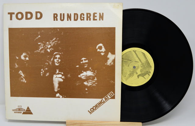 Vinyl record with cover featuring 'Todd Rundgren' and a brown image of people.
