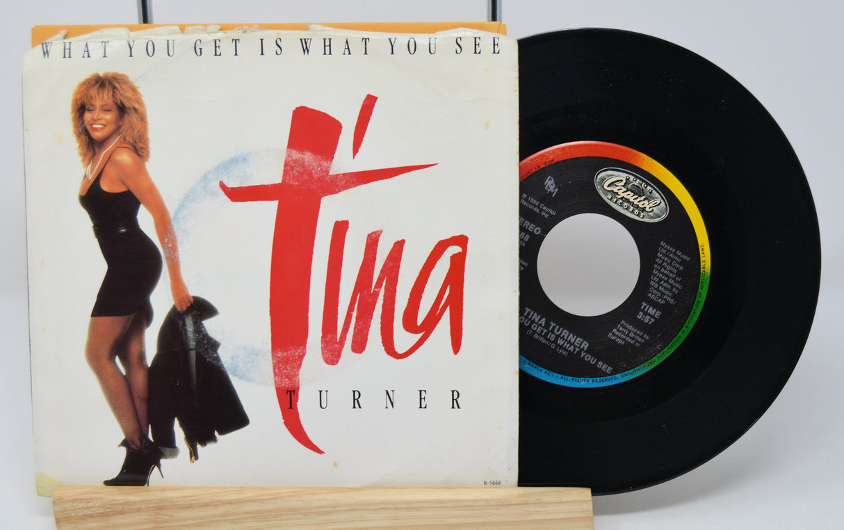 Turner, Tina - What You Get Is What You See
