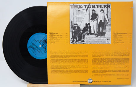Turtles - It Ain't Me Babe