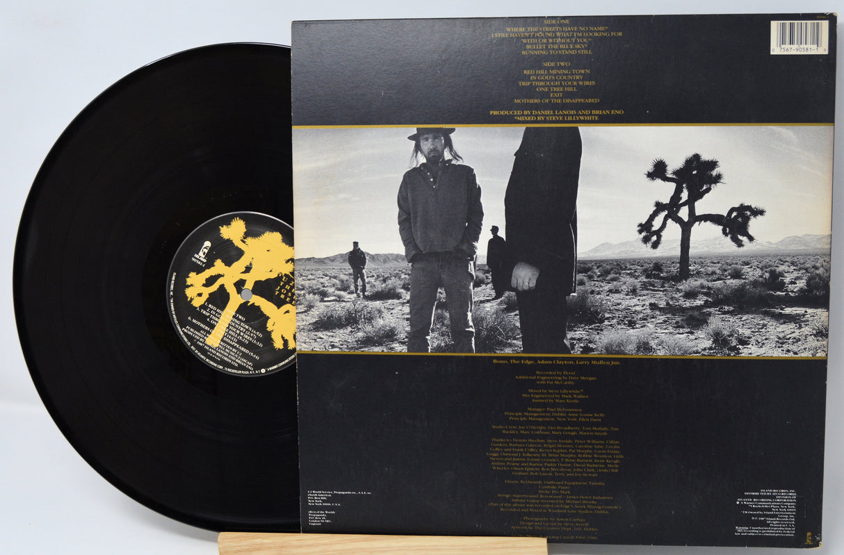 Vinyl record with matching cover featuring a desert landscape and person.