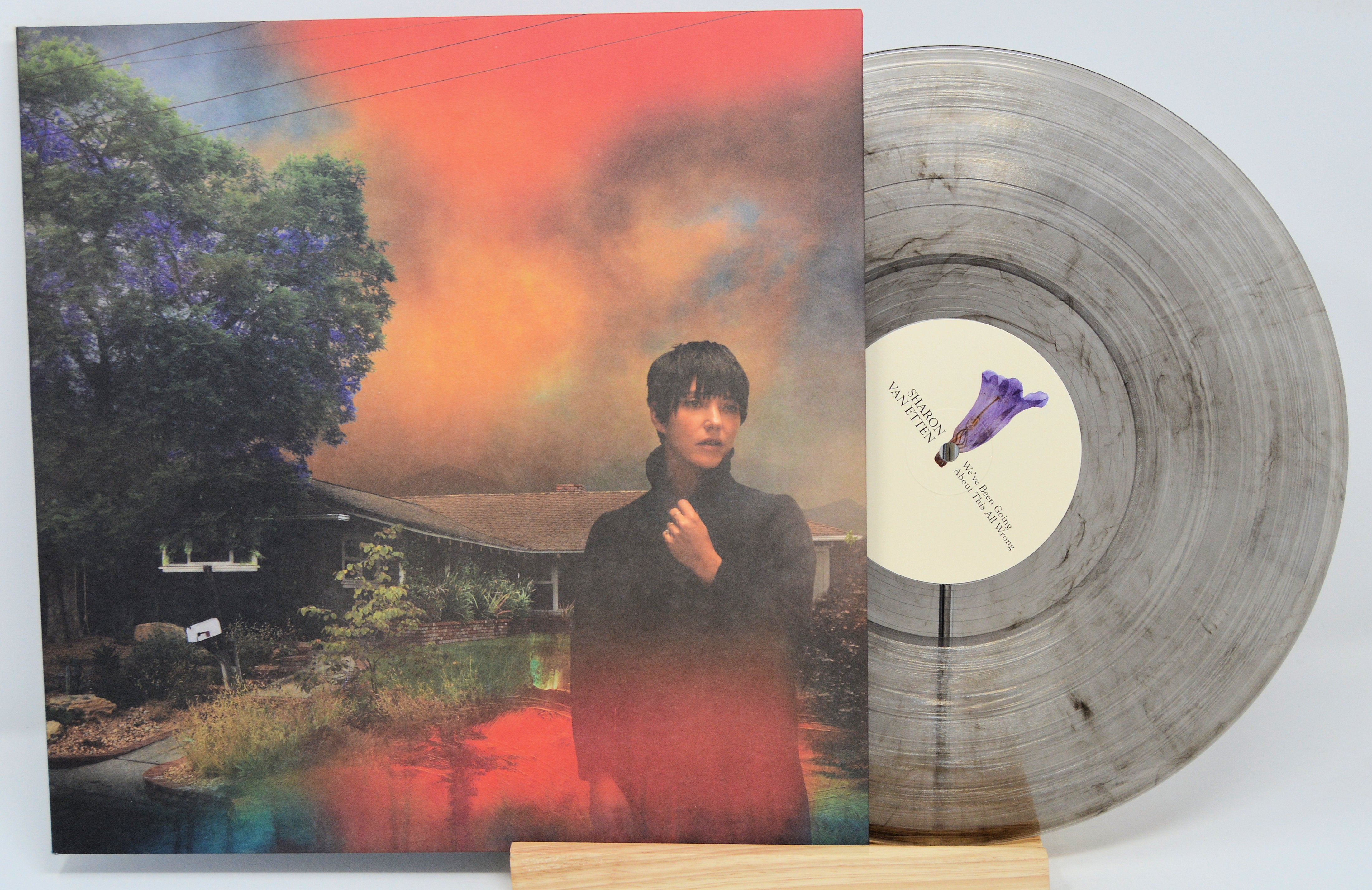 Sharon Van Etten - We've Been Going About This All Wrong