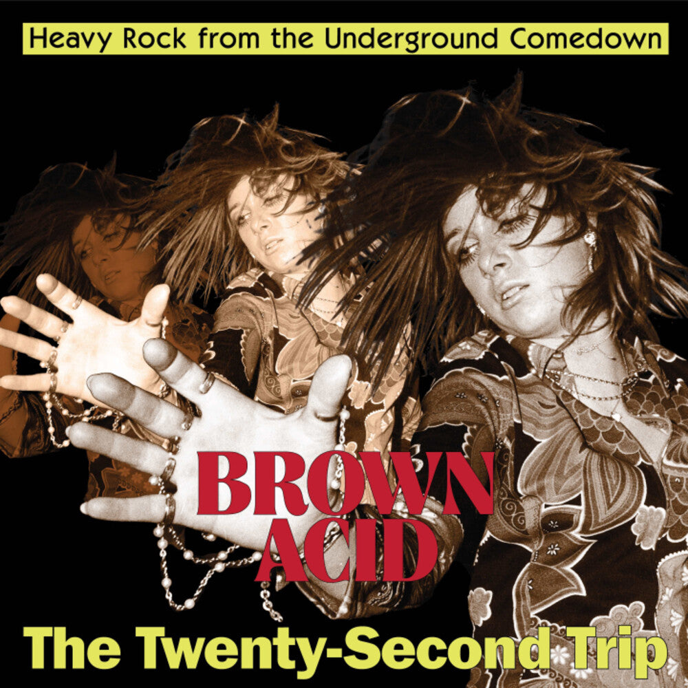 Album cover for 'Brown Acid: The Twenty-Second Trip' with two people reaching out towards a hand.