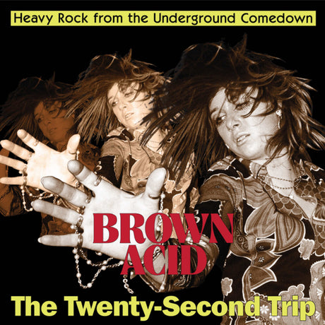 Album cover for 'Brown Acid: The Twenty-Second Trip' with two people reaching out towards a hand.