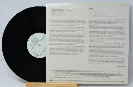 Vinyl record with text on a white background
