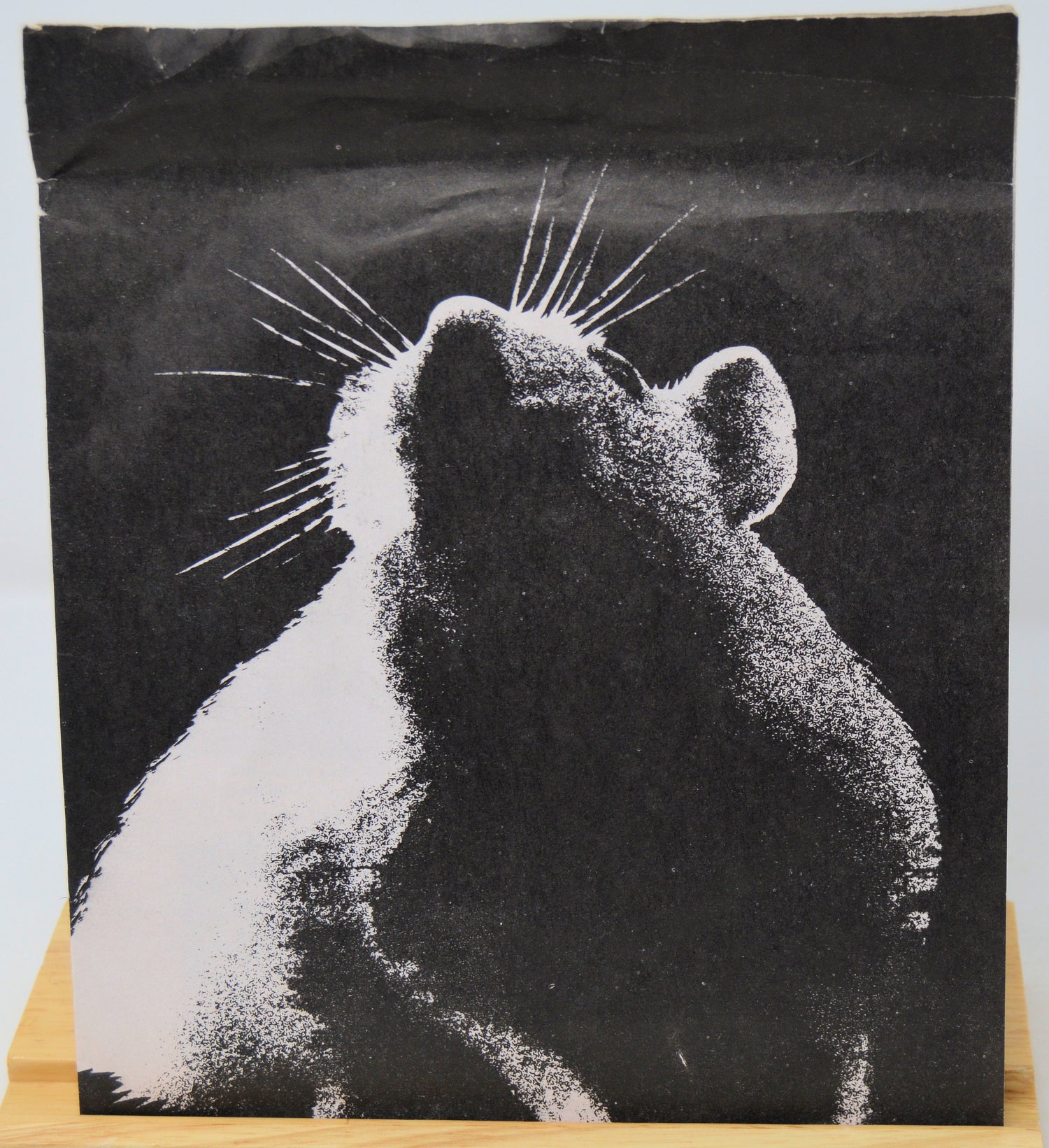Black and white textured artwork of a rodent on a dark background