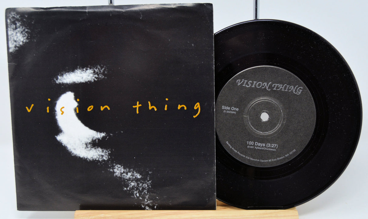 Vision Thing - 100 Days
