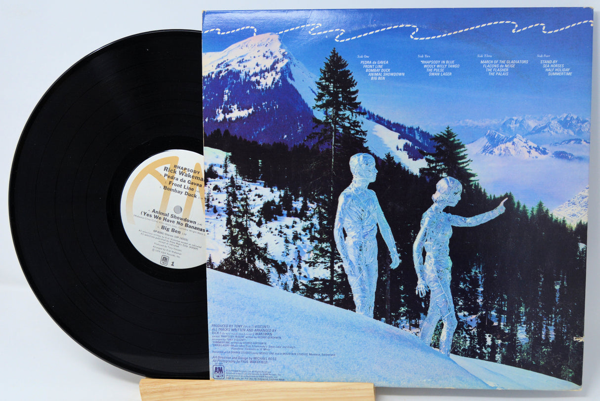 Vinyl record with a colorful landscape design on a clear plastic cover