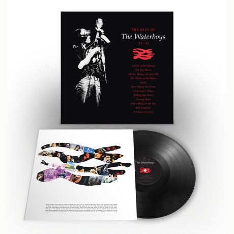 The Waterboys vinyl record album shown with the black cover, open inner sleeve, and black LP record on a light gray background.