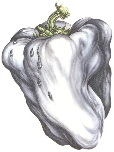 Record cover for Ween's 'White Pepper' album with an illustration of a white bell pepper with a green stem on a white background