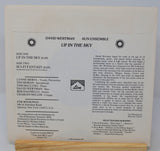 Wertman, David - Up In The Sky