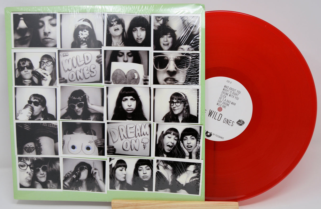 Wild Ones - Dream On