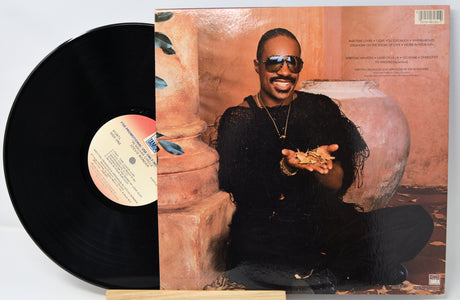 Wonder, Stevie - In Square Circle