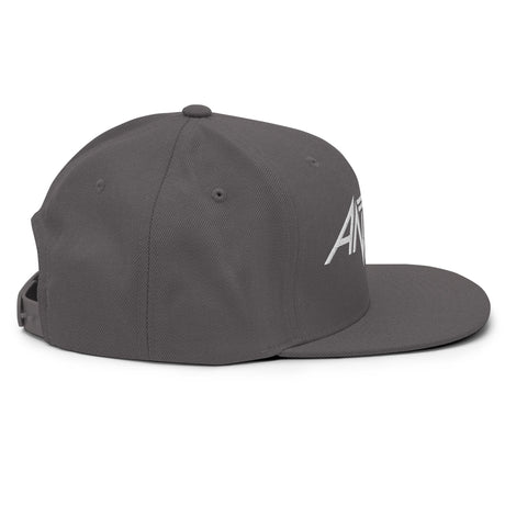 Anthrax - White on Gray Snapback HD Embroidered Hat