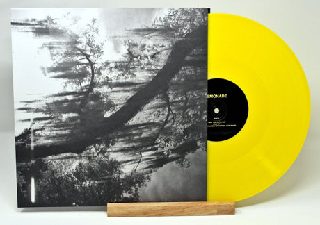Beyonce - Lemonade