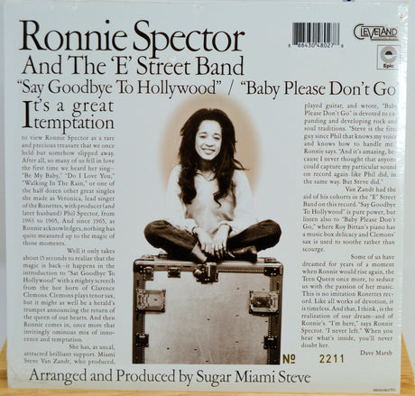 Spector, Ronnie & E-Street Band - Say Goodbye To Hollywood