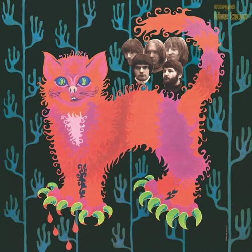 Pussy - Plays