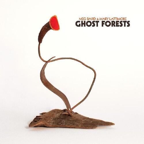 Baird, Meg & Lattimore, Mary - Ghost Forests