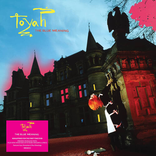Toyah - Blue Meaning