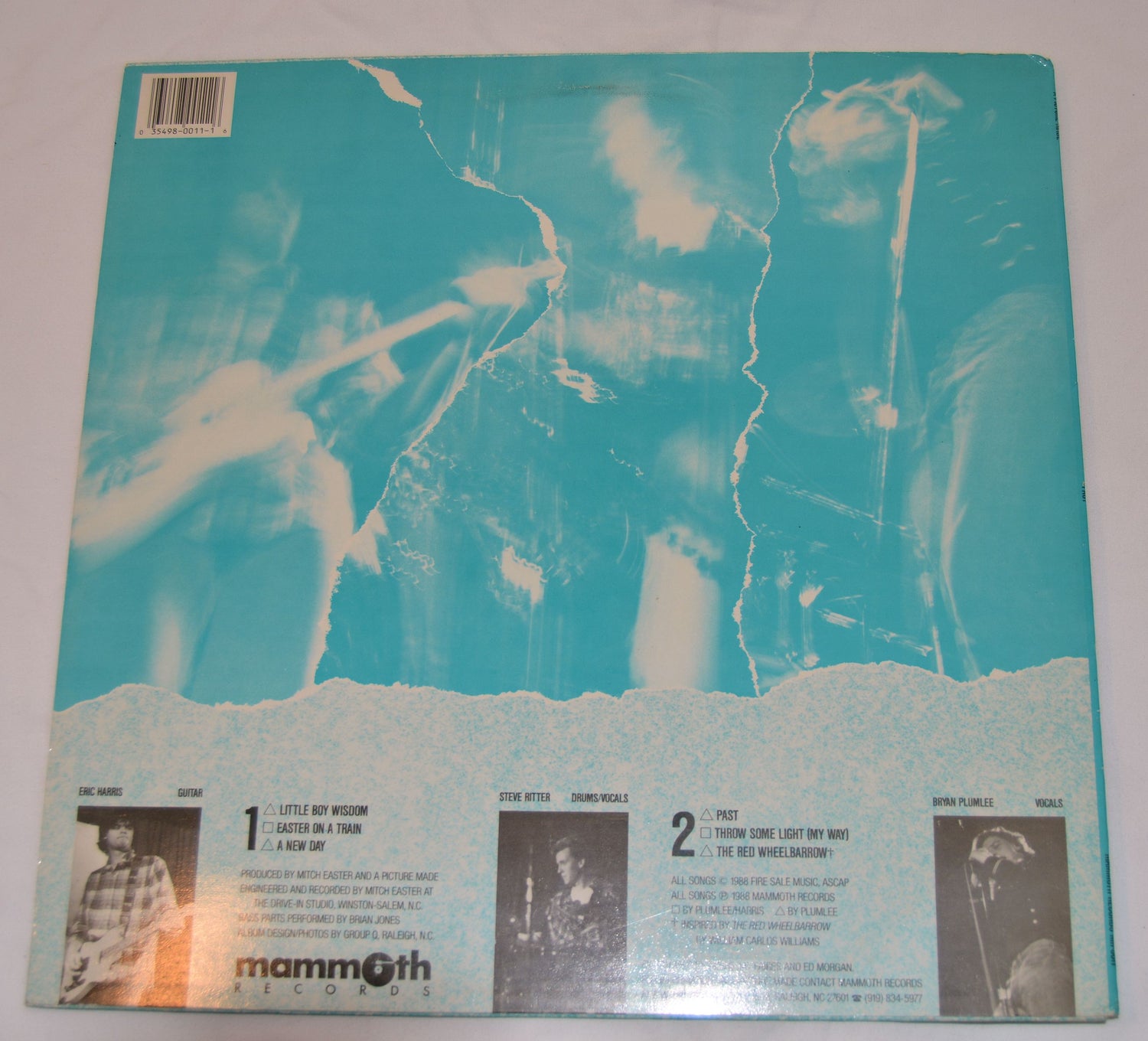 A Picture Made - Past