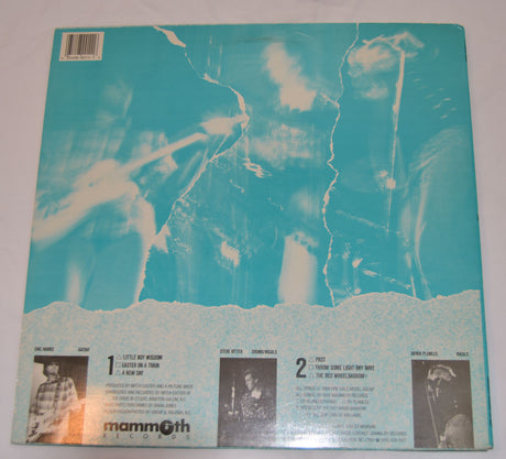 A Picture Made - Past