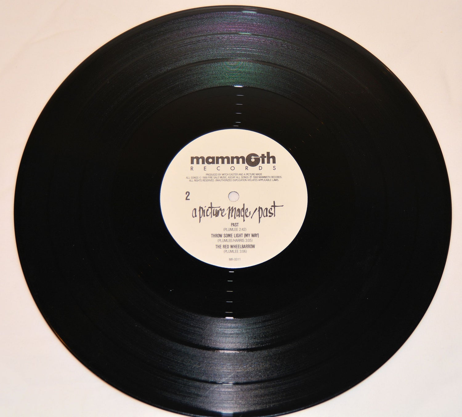 A Picture Made - Past