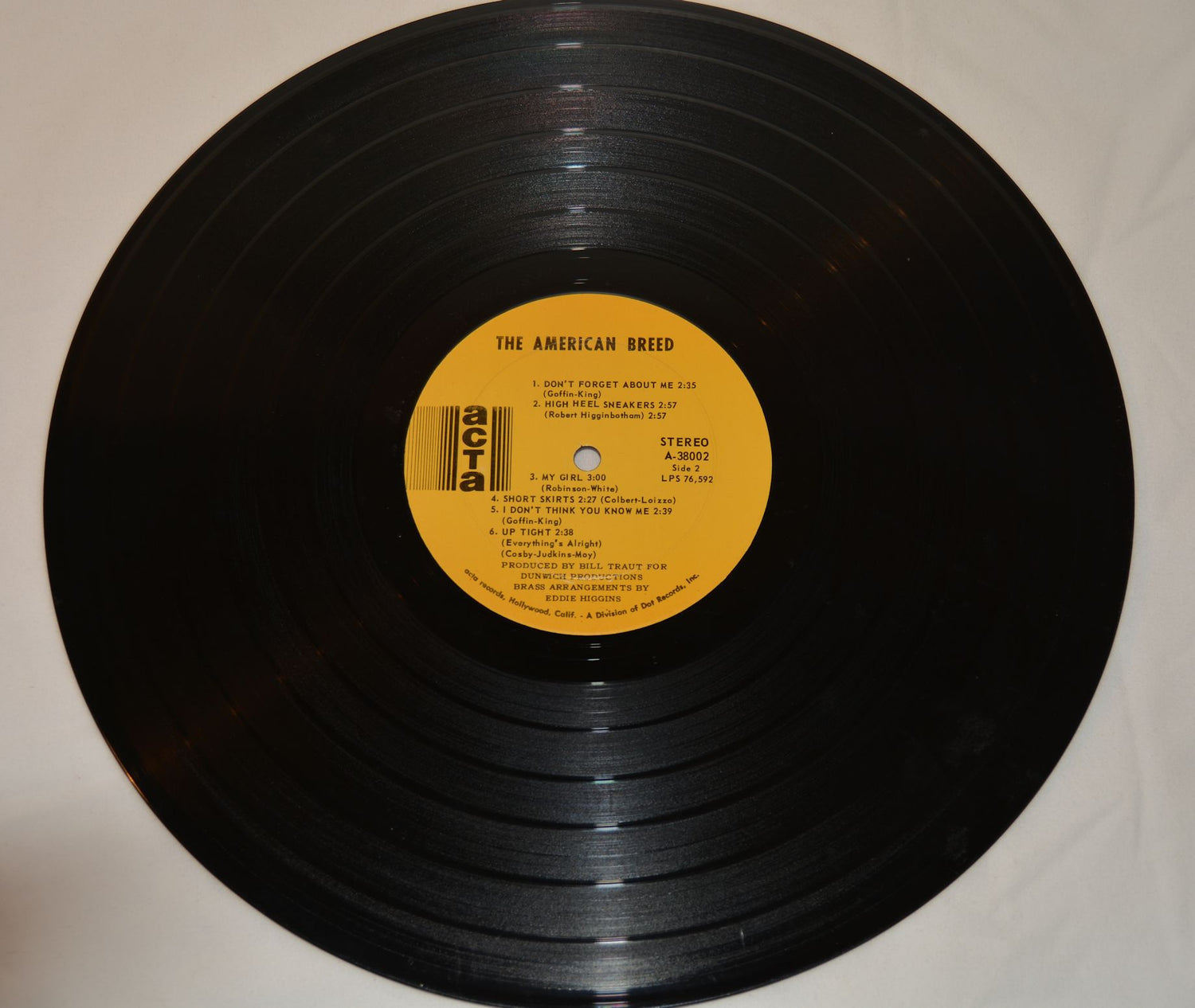 American Breed, The - The American Breed