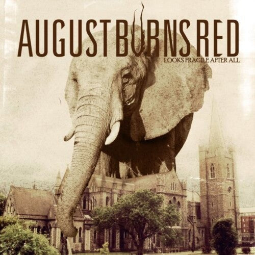 A vinyl record cover featuring an elephant with a church steeple and buildings in the background, with the title 'August Burns Red - Looks Fragile After All'.
