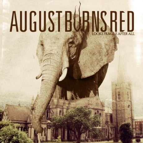 A vinyl record cover featuring an elephant with a church steeple and buildings in the background, with the title 'August Burns Red - Looks Fragile After All'.