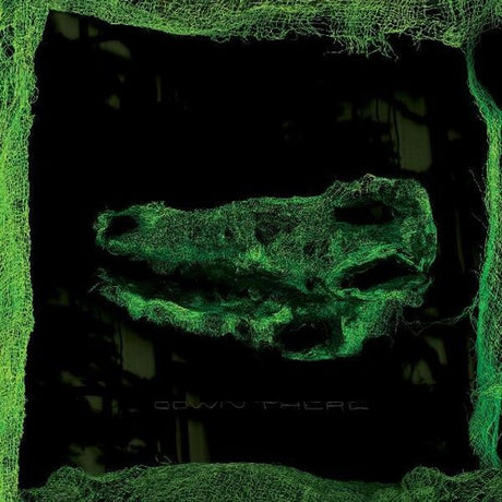 This image features the album cover for "Down There," the debut solo record by Avey Tare, a member of the band Animal Collective. The cover art is strikingly dark and enigmatic, portraying a blurred, glowing green image of a shoe, which adds an artistic and mysterious touch to the album.