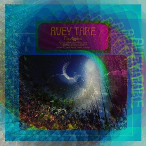 A vinyl record titled 'Avey Tare - Eucalyptus' with a colorful abstract design on the cover.
