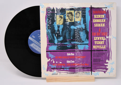 Bananarama - Really Sayin Somethin